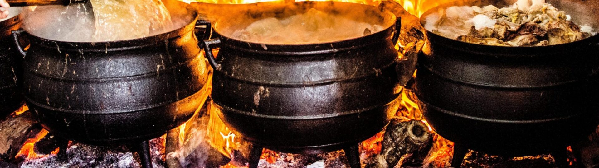 pexels-kylarose-954677